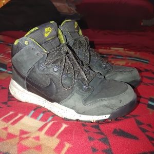 Nike winterized dunk high